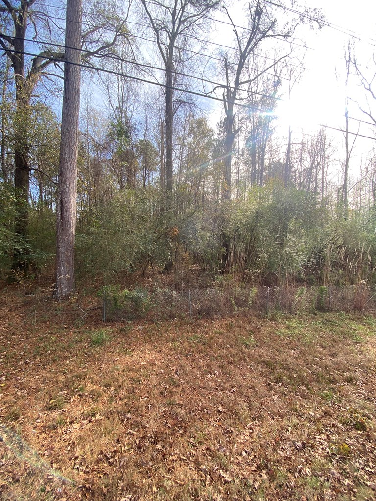 Lot 81 Woodland Drive, Cataula, GA 31804 - #2