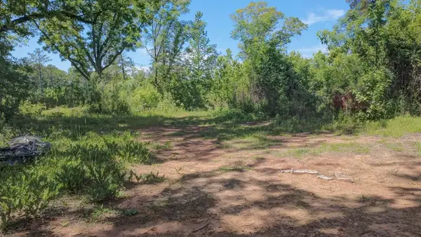 13145 Ga Highway 0315, CATAULA, GA 31804