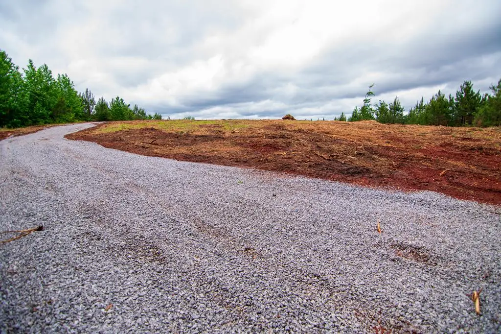 Tract 6 - 0 Chestnut Grove Road, Shiloh, GA 31826 - #1