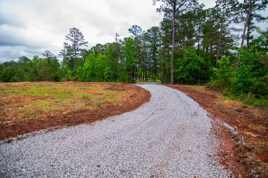 Tract 6 - 0 Chestnut Grove Road, Shiloh, GA 31826 - #2