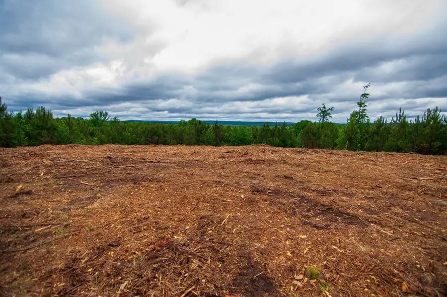 Tract 6 - 0 Chestnut Grove Road, Shiloh, GA 31826 - #3