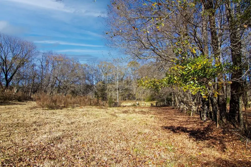 Tract 2 - 0 St. Paul Church Road, Shiloh, GA 31826 - #1