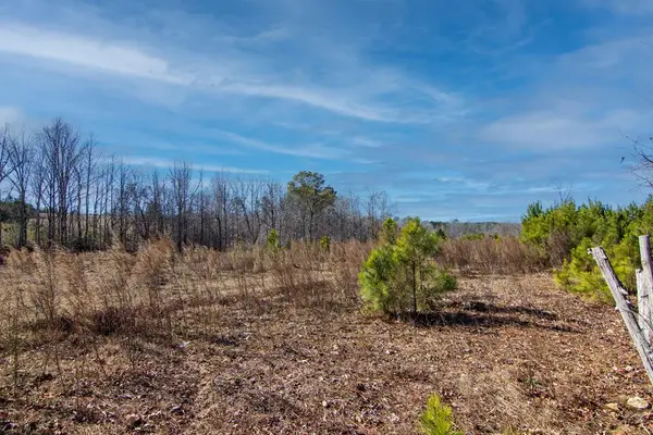 Tract 6 - 0 Chestnut Grove Road, SHILOH, GA 31826