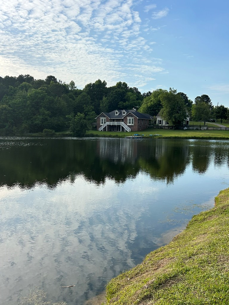1130 Lee Road 0250, Salem, AL 36874 - #2