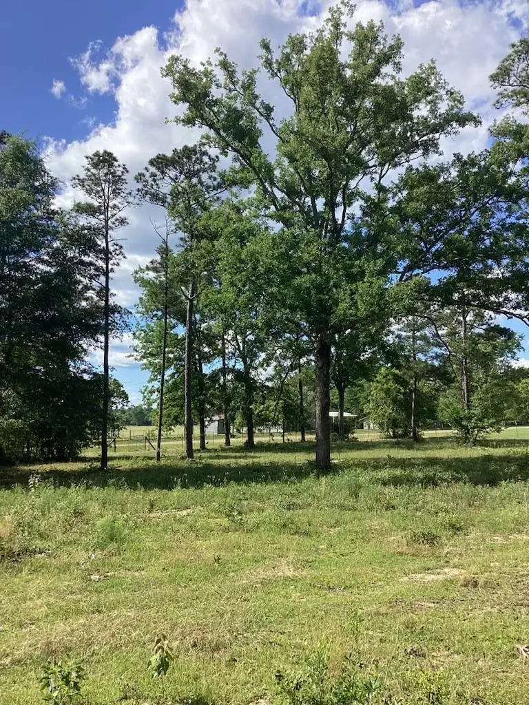 291 Young Road, Box Springs, GA 31801 - #1
