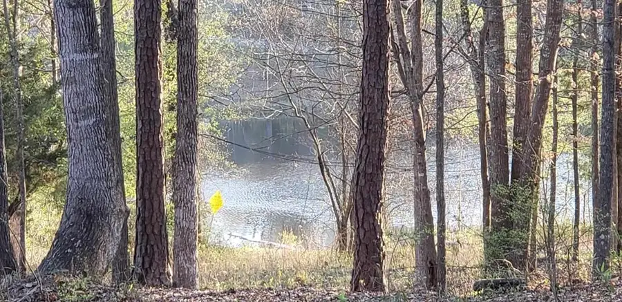 125 Sputnik Street, Fortson, GA 31808 - #2