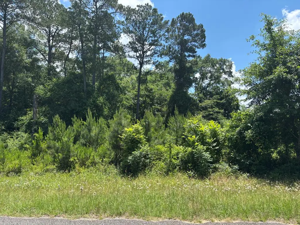 0 Pataula Park Road, Georgetown South, GA 39854 - #1