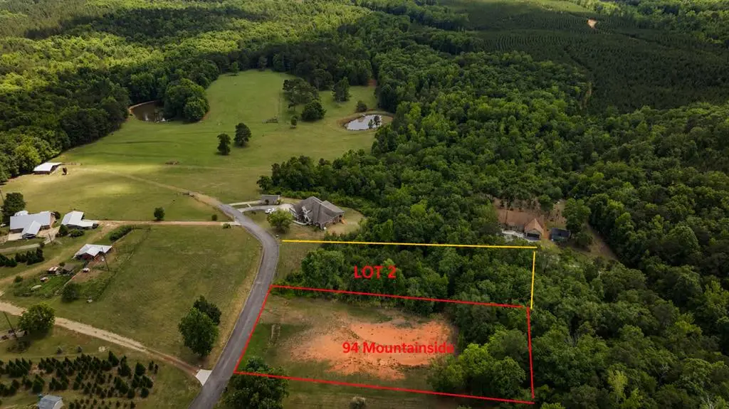 94 Mountainside Drive, Manchester, GA 31816 - #1