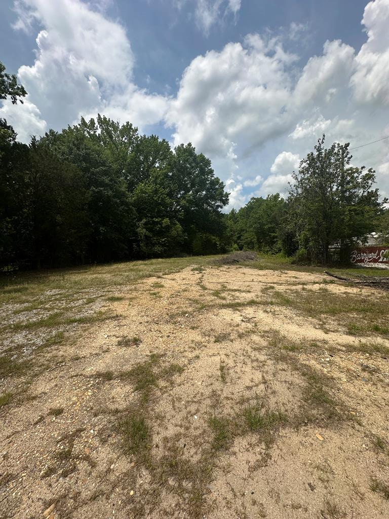 0 Opelika Road, Phenix City, AL 36867 - #1