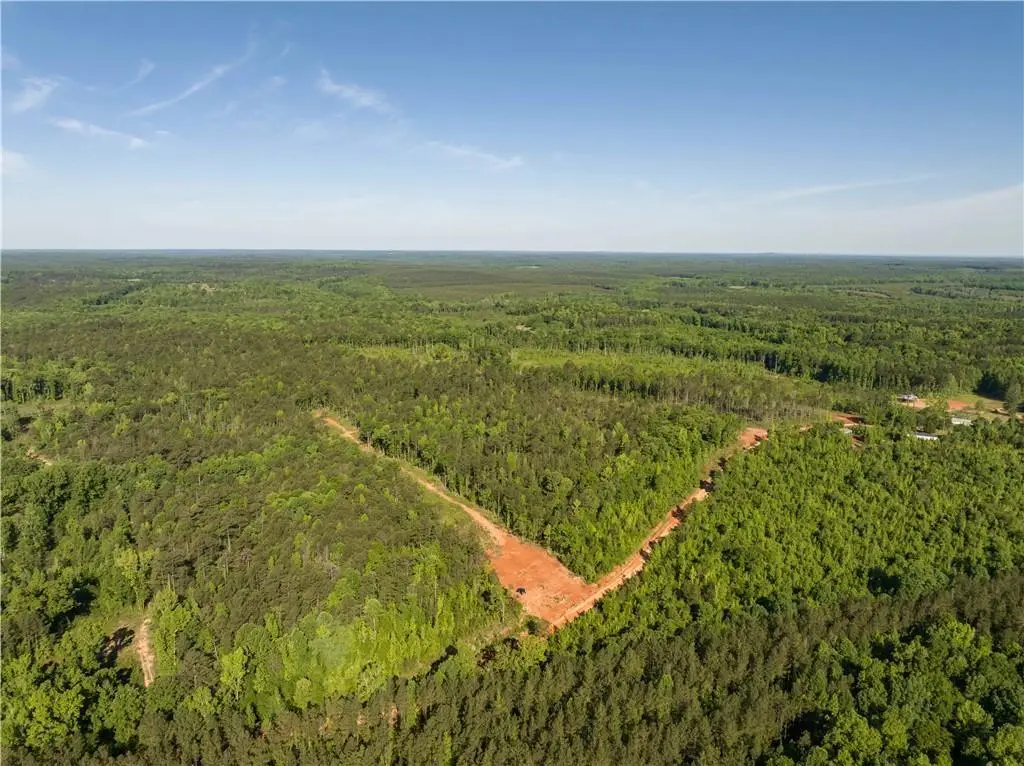 0 Wigdon Road, Opelika, AL 36801 - #1