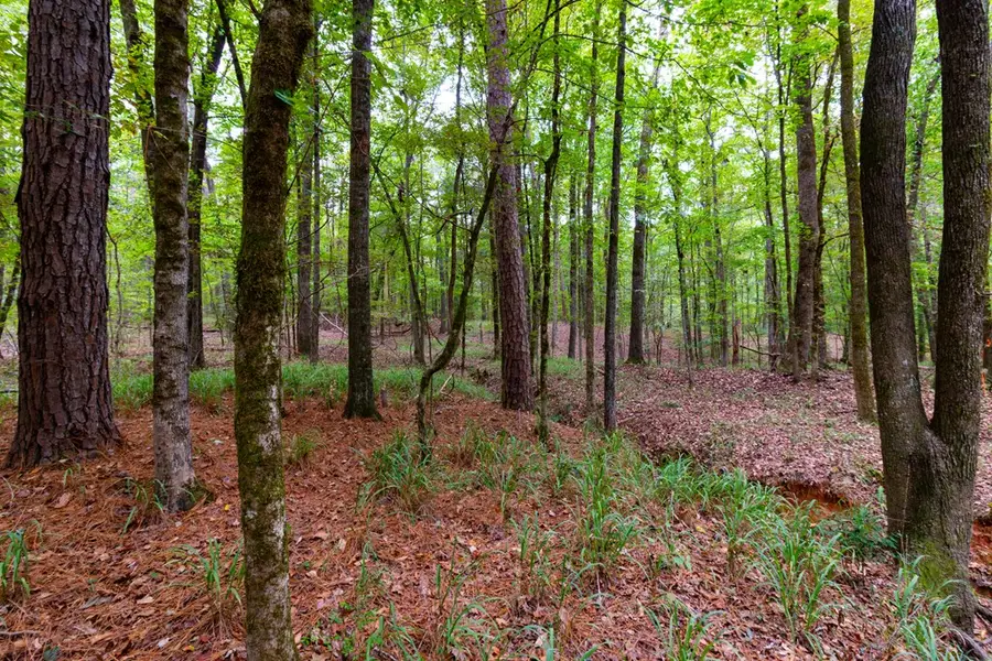 8585 Mckee Road, Upatoi, GA 31829 - #3