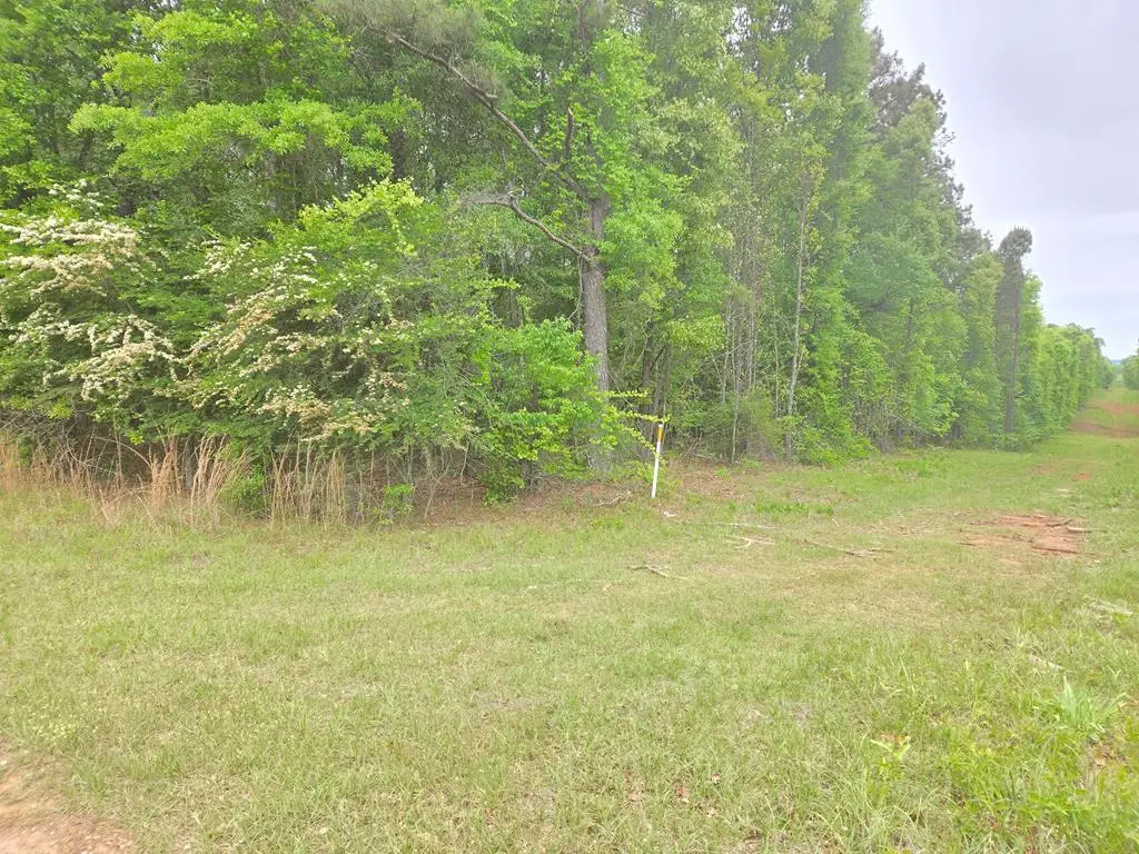 0 Oak Mountain Road, Shiloh, GA 31826 - #1