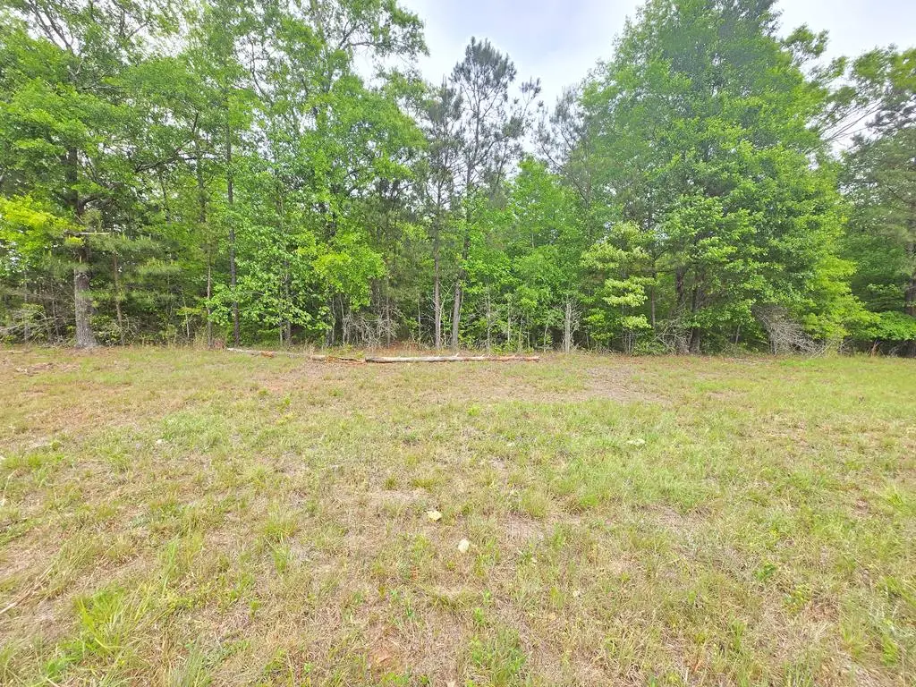 0 Oak Mountain Road, Shiloh, GA 31826 - #1