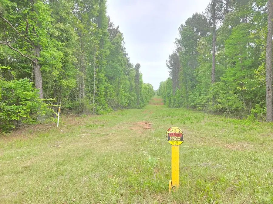 0 Oak Mountain Road, Shiloh, GA 31826 - #2