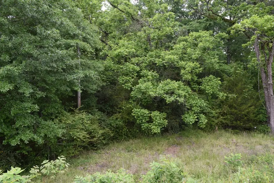 0 Harris Road, Ellerslie, GA 31807 - #2