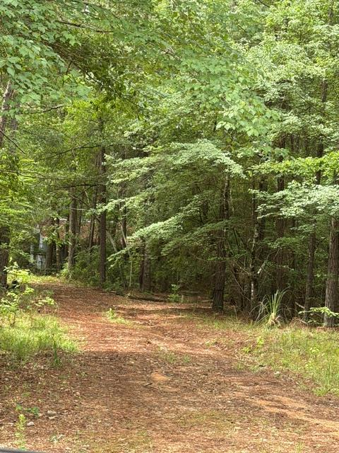 53 Robinson Road, SEALE, AL 36875