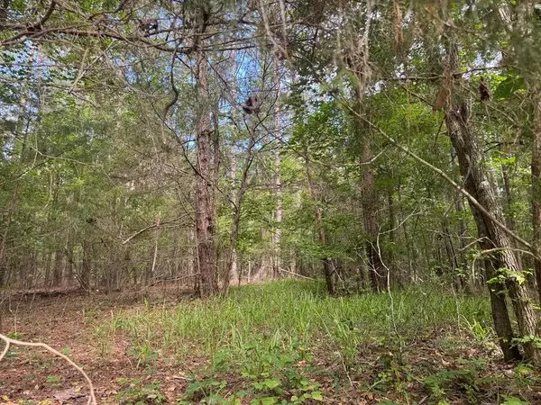 0 Melody Drive, WAVERLY HALL, GA 31831
