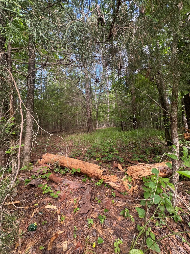 0 Melody Drive, Waverly Hall, GA 31831 - #2