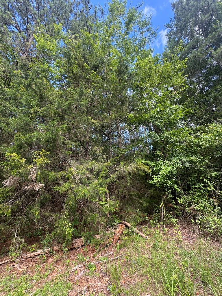 0 Melody Drive, Waverly Hall, GA 31831 - #3