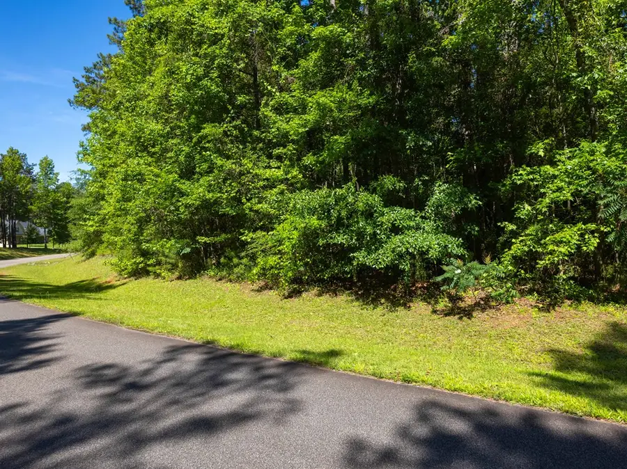 LOT 17 Hidden Lake Court, Pine Mountain, GA 31822 - #3