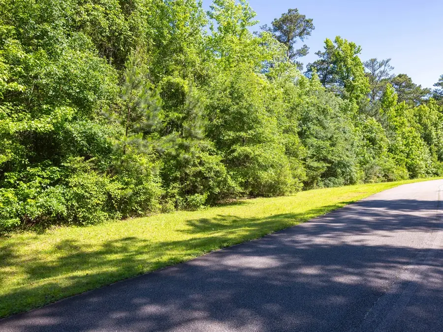 LOT 18 Hidden Lake Court, Pine Mountain, GA 31822 - #3