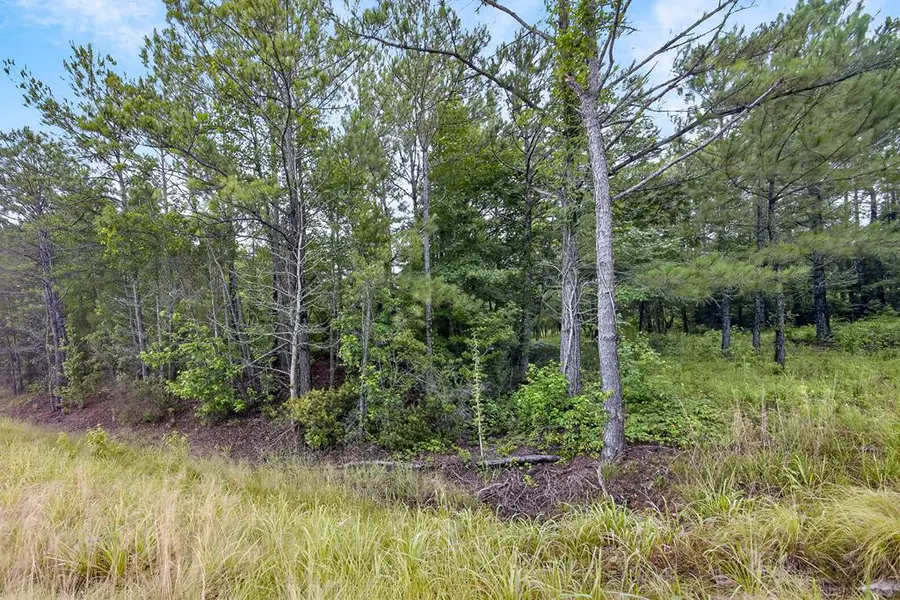 3921 Highway 0431 South, Phenix City, AL 36869 - #3