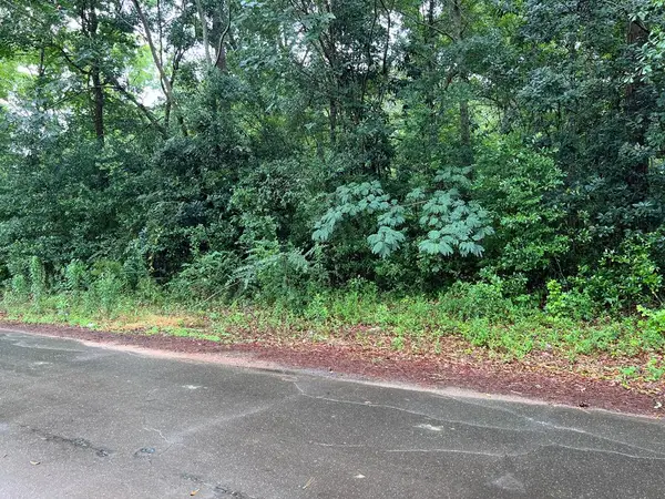 0 Harmony Lane, RICHLAND, GA 31825