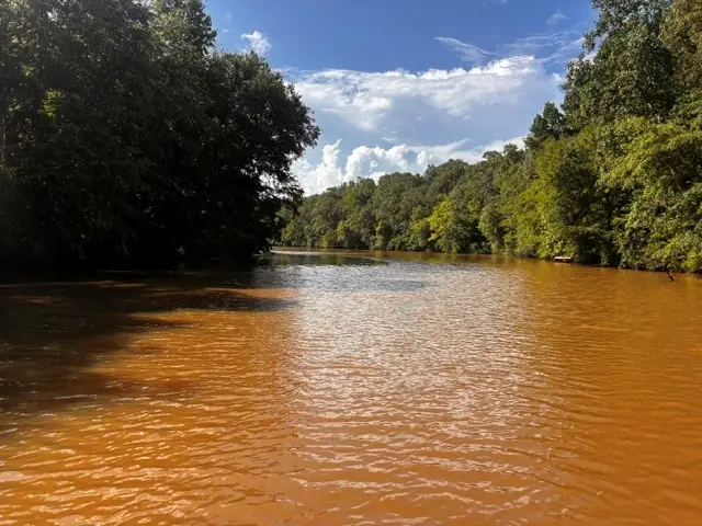631 Lee Road 0889, Valley, AL 36854 - #2