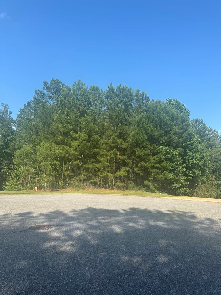 lot 27 Parkview Court, Pine Mountain, GA 31822 - #1