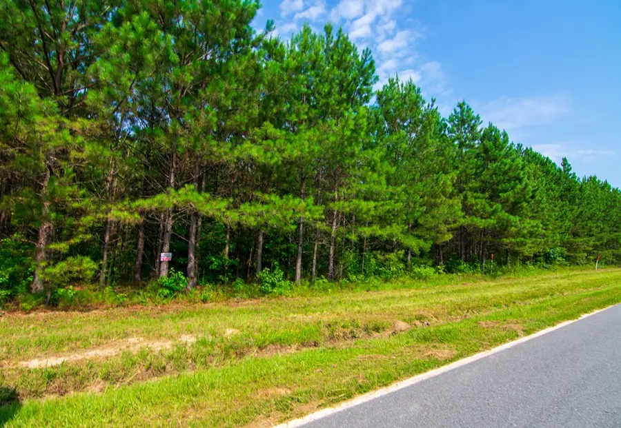 0 County Road 0071, Waverly Hall, GA 31831 - #2