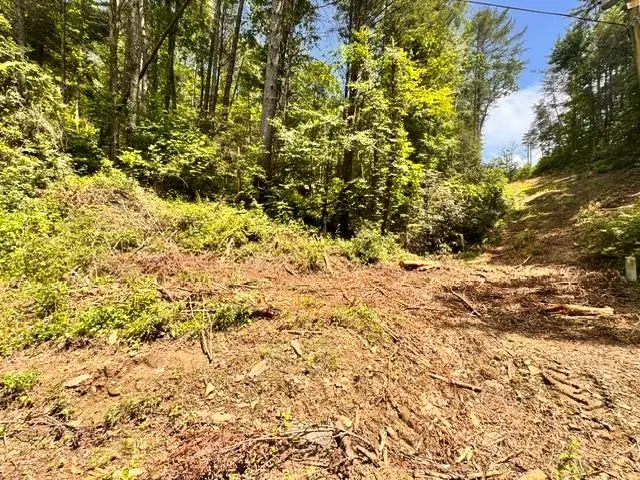 0 Grassy Mountain Road, Ellijay, GA 30540 - #2