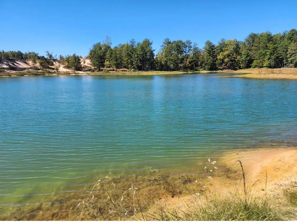 Address Withheld By Seller, Junction City, GA 31812 - #1