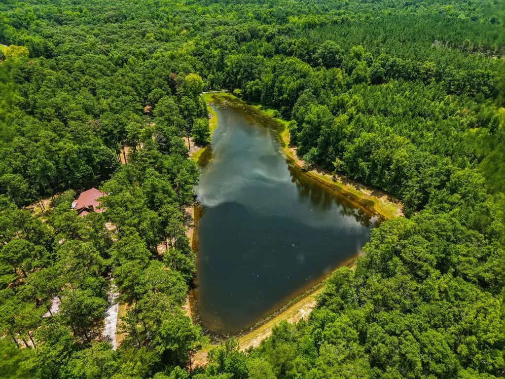 1202 Eddie Martin Road, Buena Vista, GA 31803 - #1