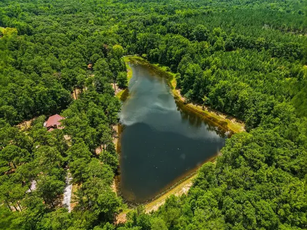 1202 Eddie Martin Road, BUENA VISTA, GA 31803
