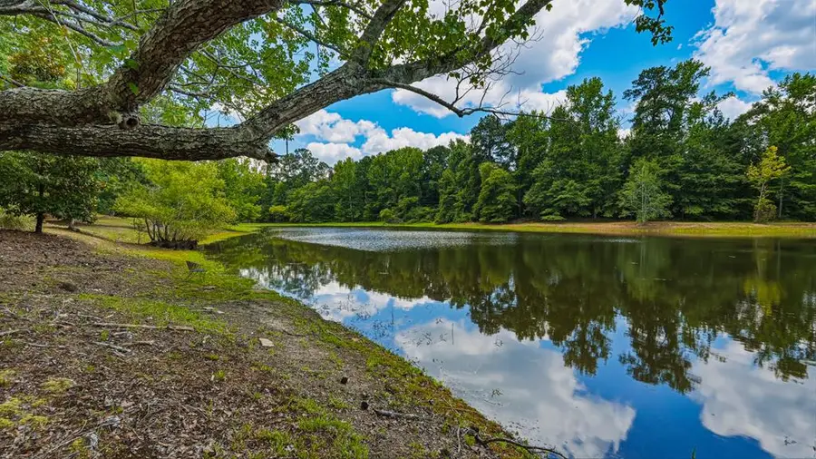 1202 Eddie Martin Road, Buena Vista, GA 31803 - #3