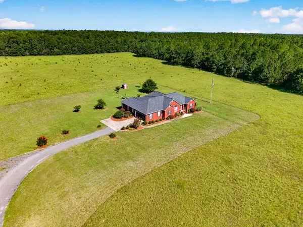 481 & 494 Sand Pit Road, MAUK, GA 31058