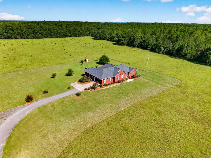 481 Sand Pit Road, Mauk, GA 31058 - #2