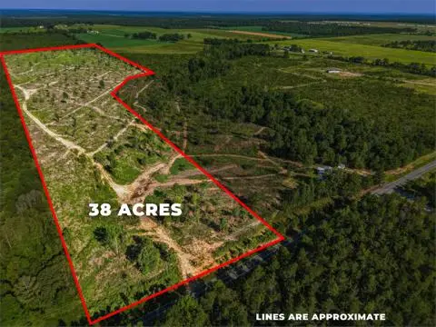 38 ACRES N Ga Highway 0240 Conn, MAUK, GA 31058