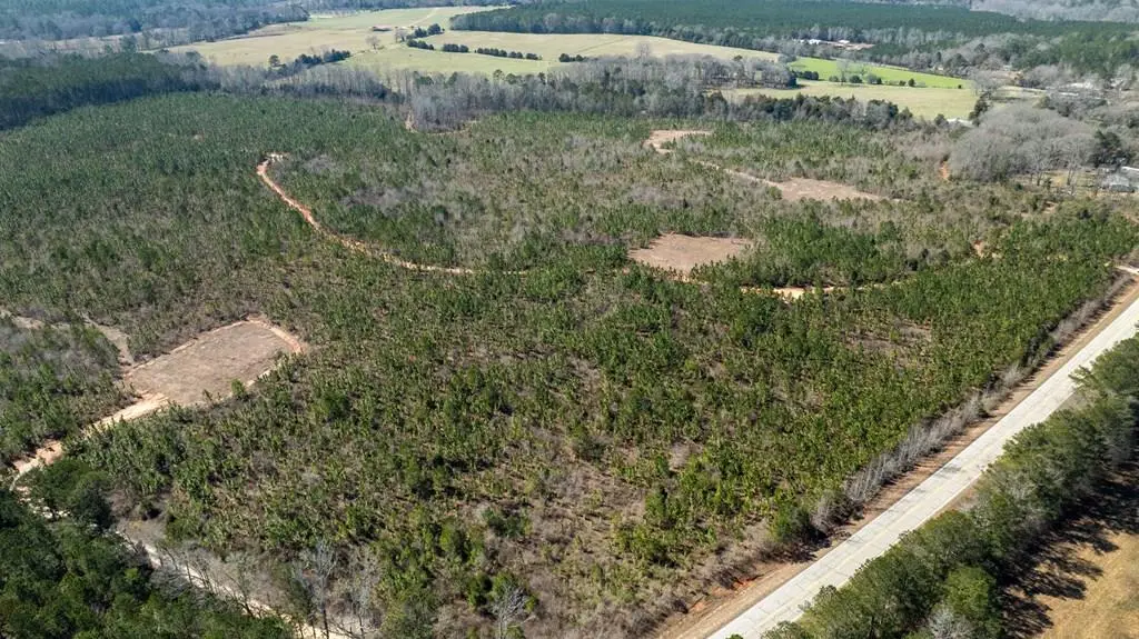 0 (Lot 3A) Highway 0018, Pine Mountain, GA 31822 - #1