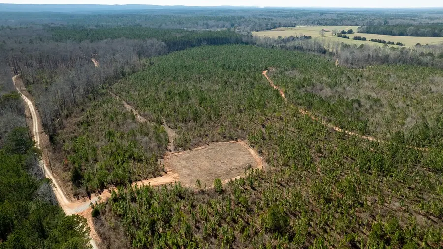 0 Highway 0018, Pine Mountain, GA 31822 - #3