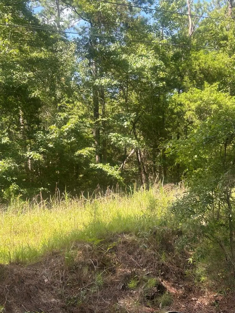 999 Highway 0315 East, Waverly Hall, GA 31831 - #2