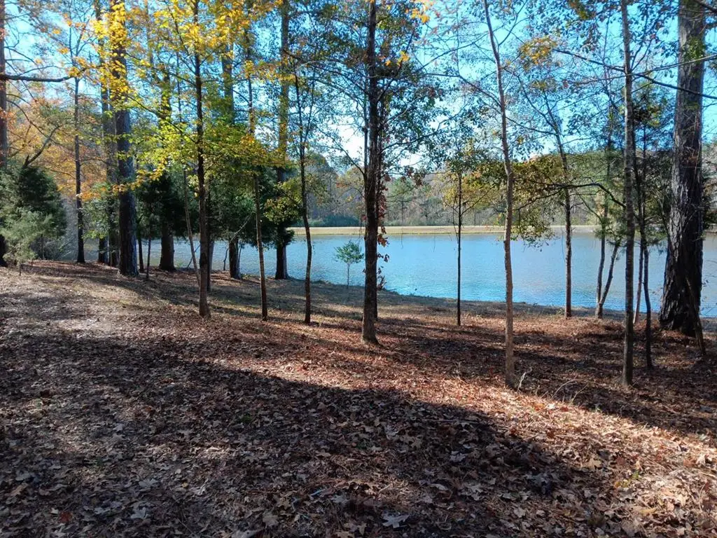 508 Sweetwater Drive, Cataula, GA 31804 - #1