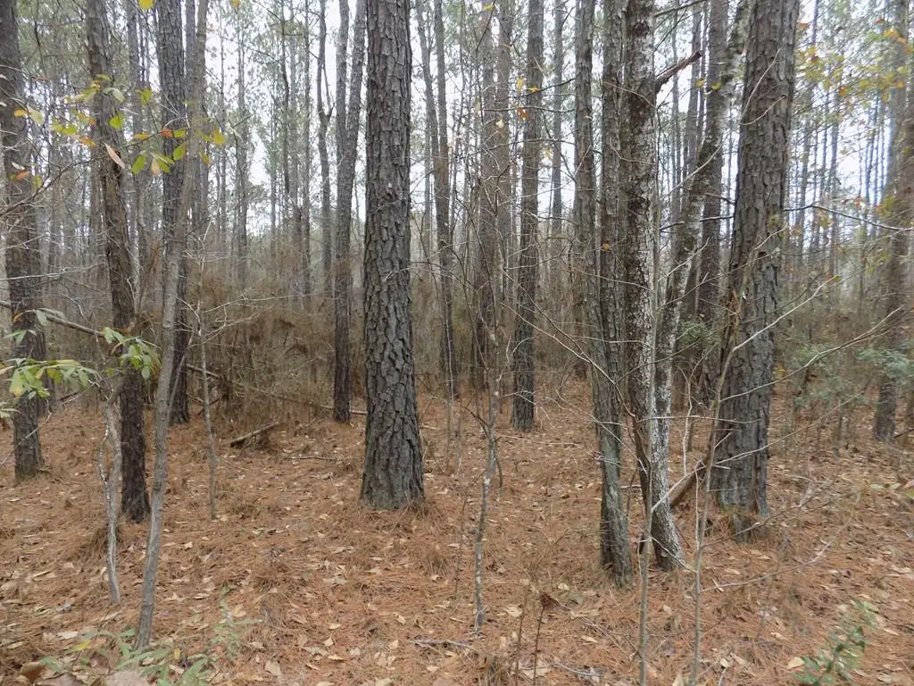 0 Mullins Road, Hamilton, GA 31811 - #1