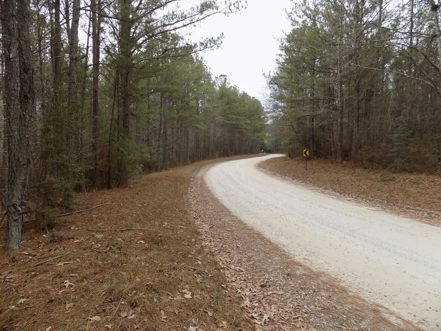 0 Mullins Road, Hamilton, GA 31811 - #3