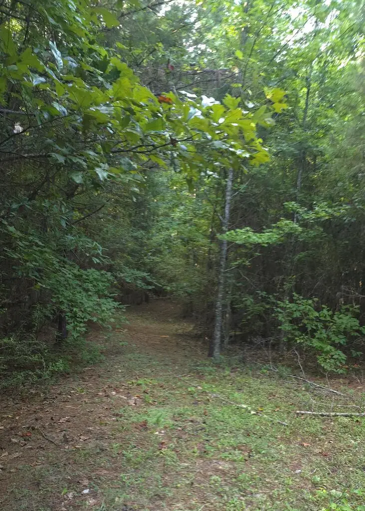 0000 Salem Road #15.6A, Pine Mountain, GA 31822 - #3