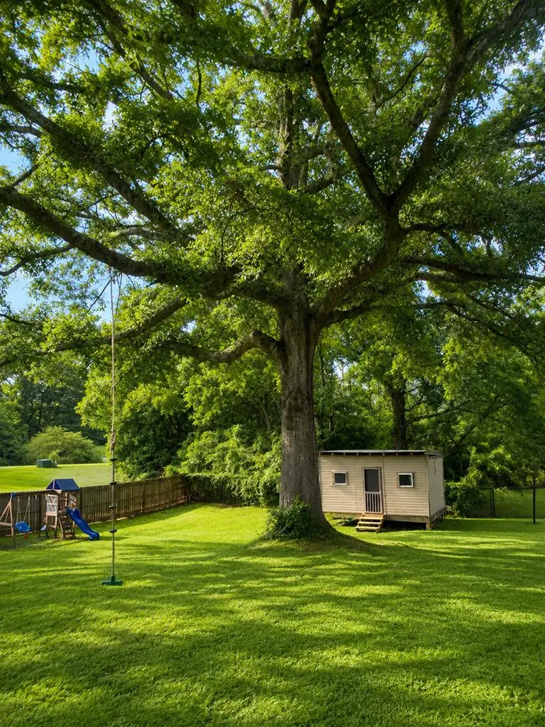 118 Springdale Drive, Pine Mountain, GA 31822 - #3