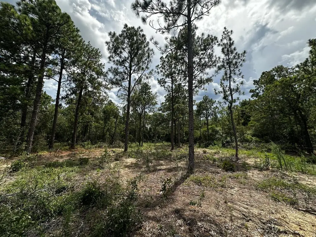 0 Highway 0041, Box Springs, GA 31801 - #1