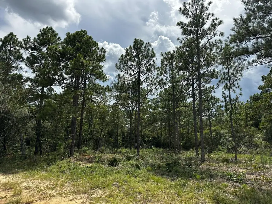 0 Highway 0041, Box Springs, GA 31801 - #2