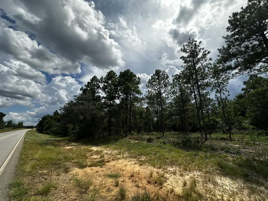 0 Highway 0041, Box Springs, GA 31801 - #3