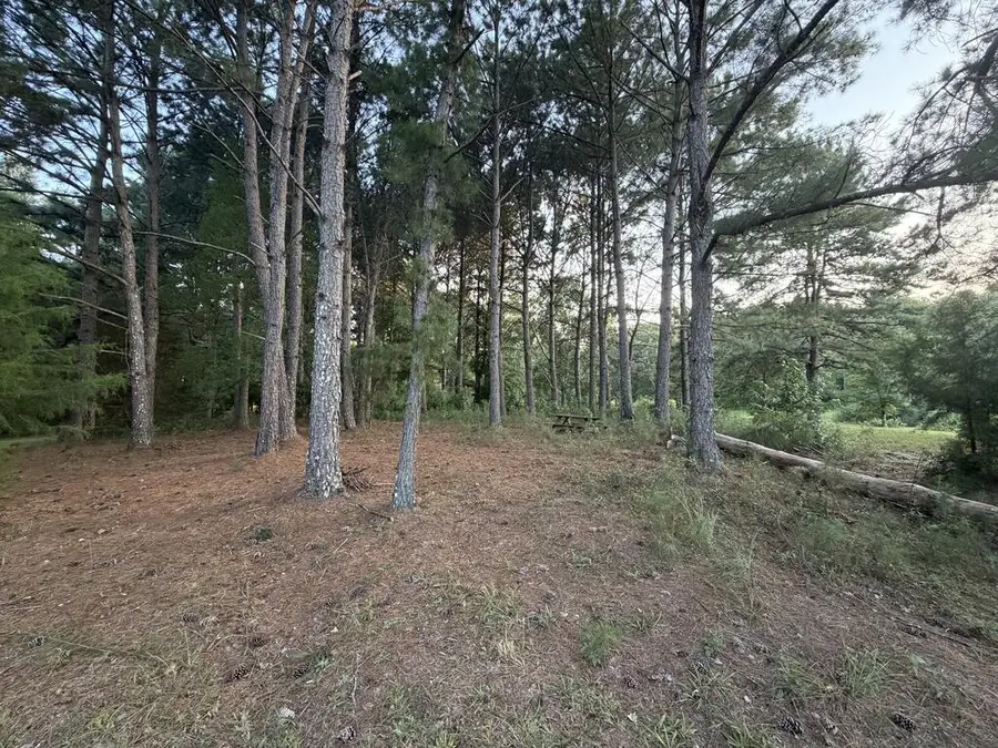 LOT 12-J SEC 1 Waterview Court, Cataula, GA 31804 - #3